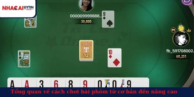 Tổng quan về cách chơi bài phỏm từ cơ bản đến nâng cao