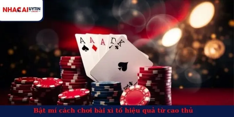 Bật mí cách chơi bài xì tố hiệu quả từ cao thủ