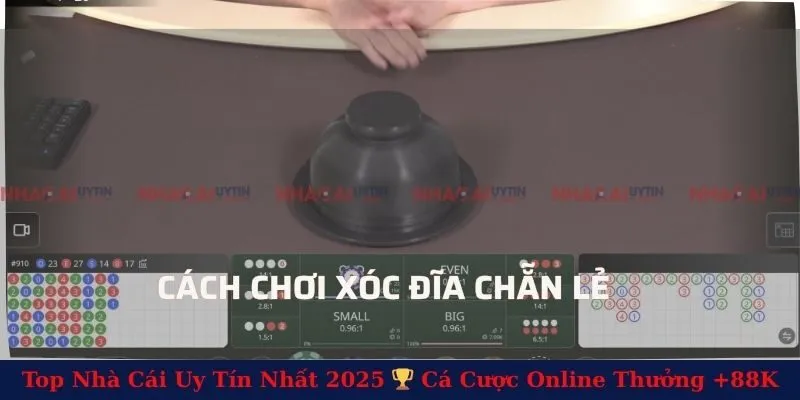 Cách Chơi Xóc Đĩa Chẵn Lẻ - Hướng Dẫn Chi Tiết Cho Newbie
