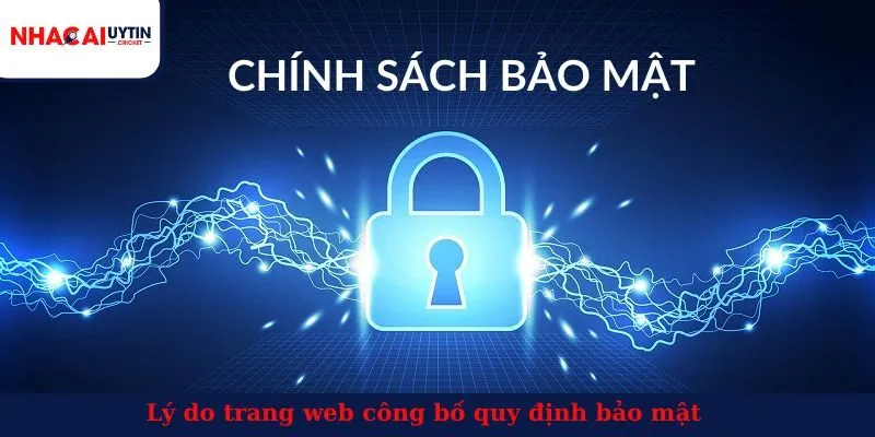 Lý do trang web công bố quy định bảo mật