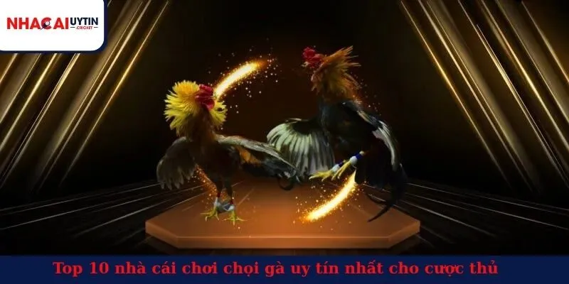 Top 10 nhà cái chơi chọi gà uy tín nhất cho cược thủ