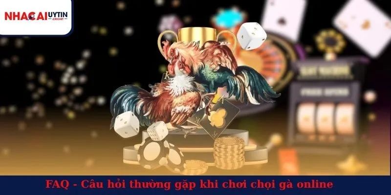 FAQ - Câu hỏi thường gặp khi chơi chọi gà online