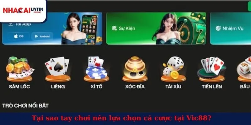 Tại sao tay chơi nên lựa chọn cá cược tại Vic88?
